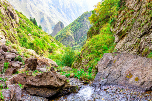 Stream flowing in the mountains. Natural mountain and plant landscape.