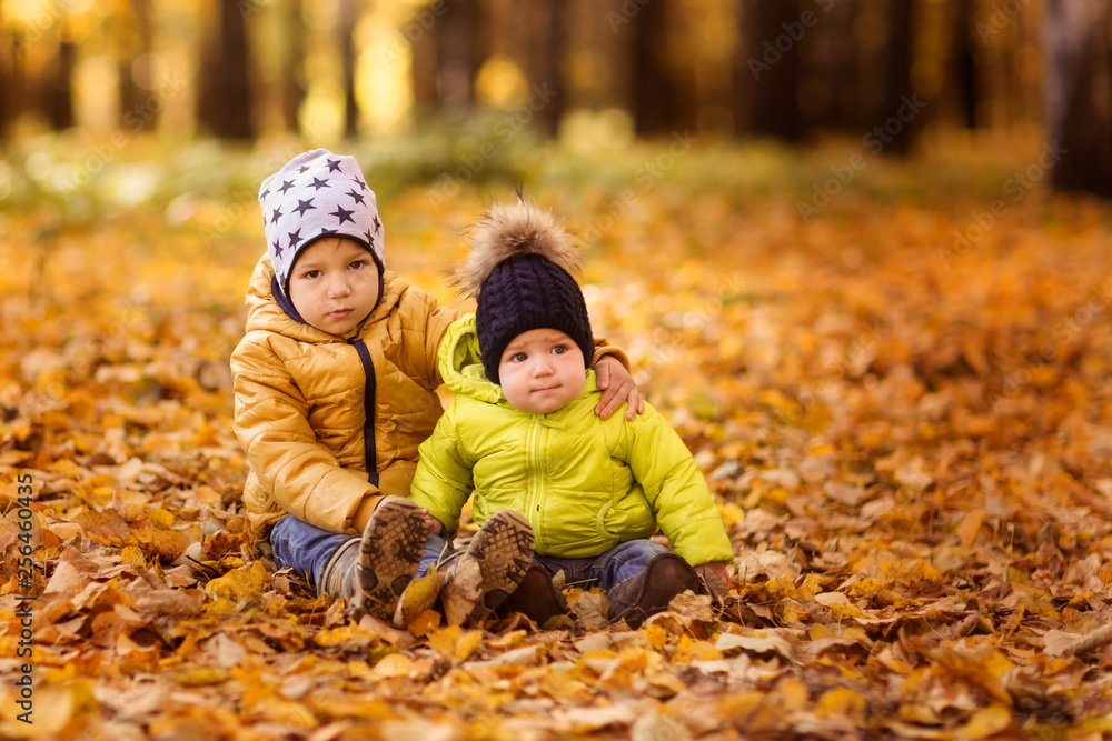 Brothers together on autumn leaves, sibling Brothers together on autumn leaves, sibling