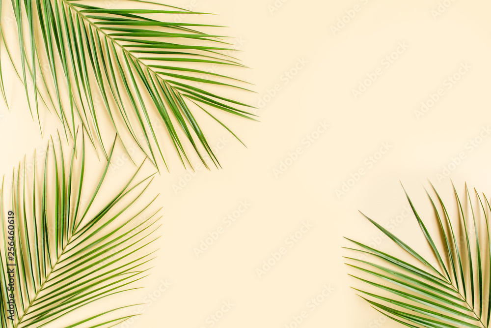 Tropical green palm leaves on yellow background. Flat lay, top view Tropical green palm leaves on yellow background. Flat lay, top view