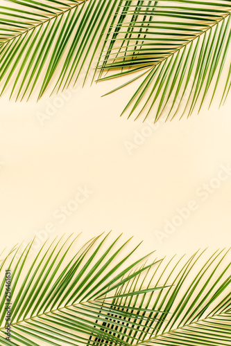Tropical green palm leaves on yellow  background. Flat lay  top view