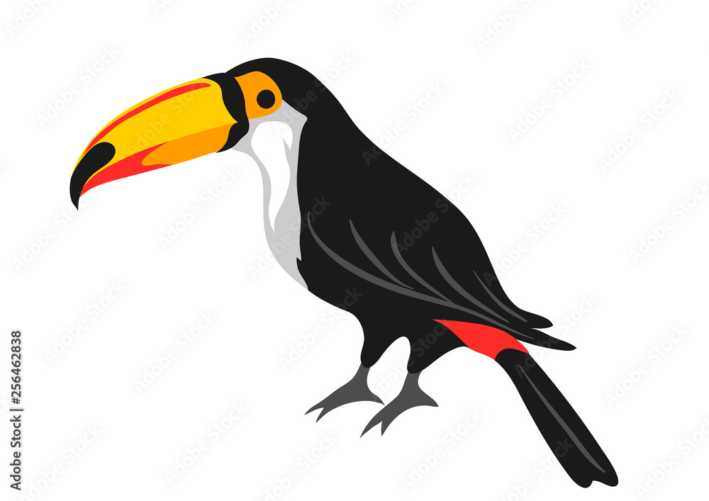 Fototapeta premium Illustration of toucan. Tropical exotic bird on white background.