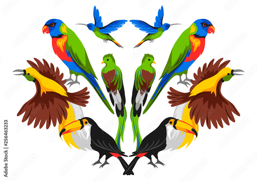 Fototapeta premium Print design with tropical exotic birds.