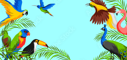 Background with tropical exotic birds.