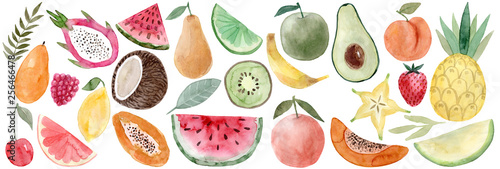Watercolor Pitaya, banana, coconut, watermelon, papaya, lemon, mango, raspberry, cherry, grapefruit, carambola, avocado, peach, pineapple, melon, strawberry, pear, lime, apple, orange, watermelon,kiwi © Anastasia
