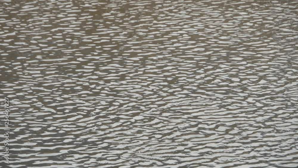 surface of river surface of river