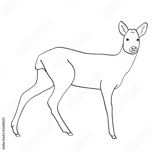 Deer flat illustration on white