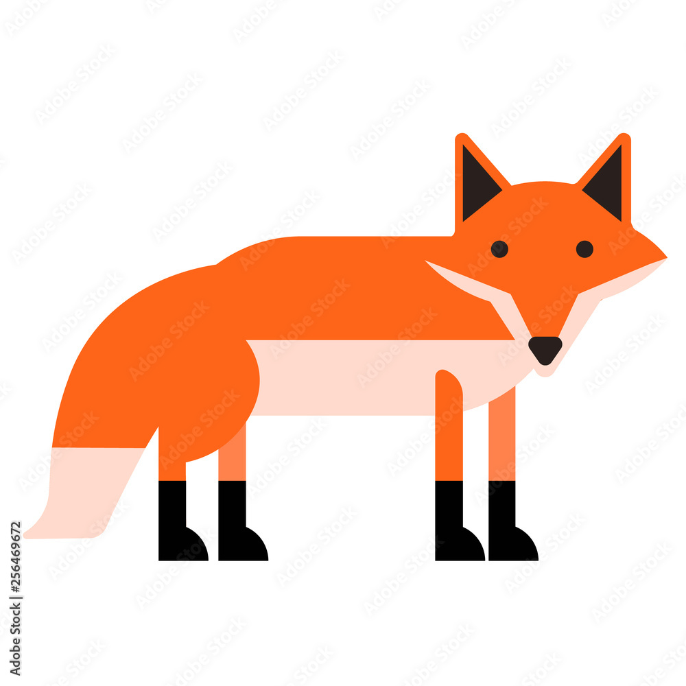 Obraz premium Fox flat illustration on white