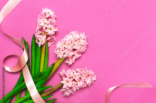 Spring pink bouquet hyacinth with festive ribbon on bright pink background top view Flat lay. Pink Hyacinth flower  greeting card. Flower symbol of early spring. Flowers composition  congratulation