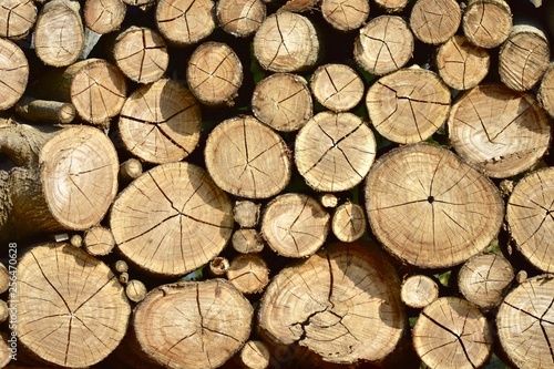 Background of dry chopped firewood logs stacked up on top of each other in a pile