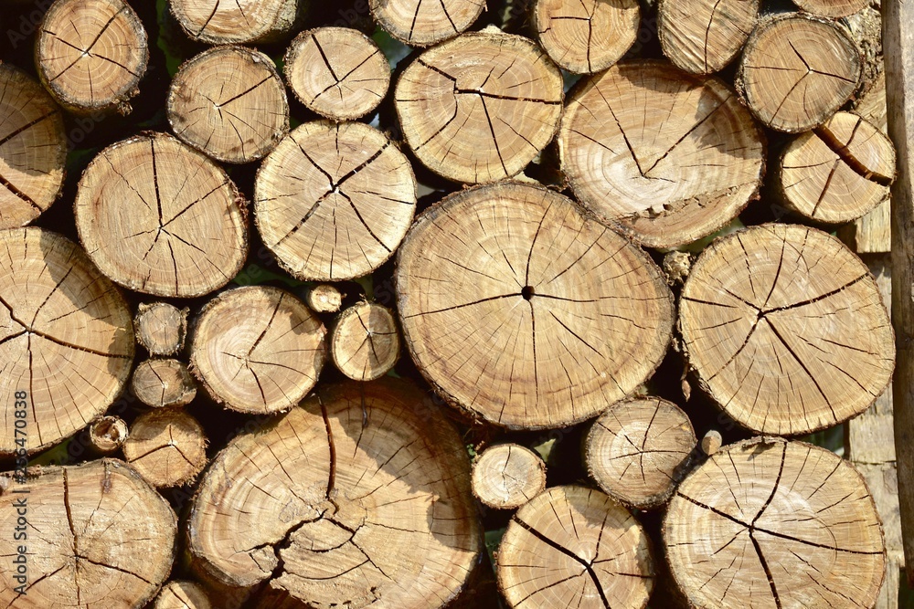 Fototapeta premium Background of dry chopped firewood logs stacked up on top of each other in a pile