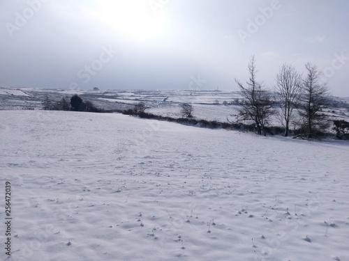 Snowy field