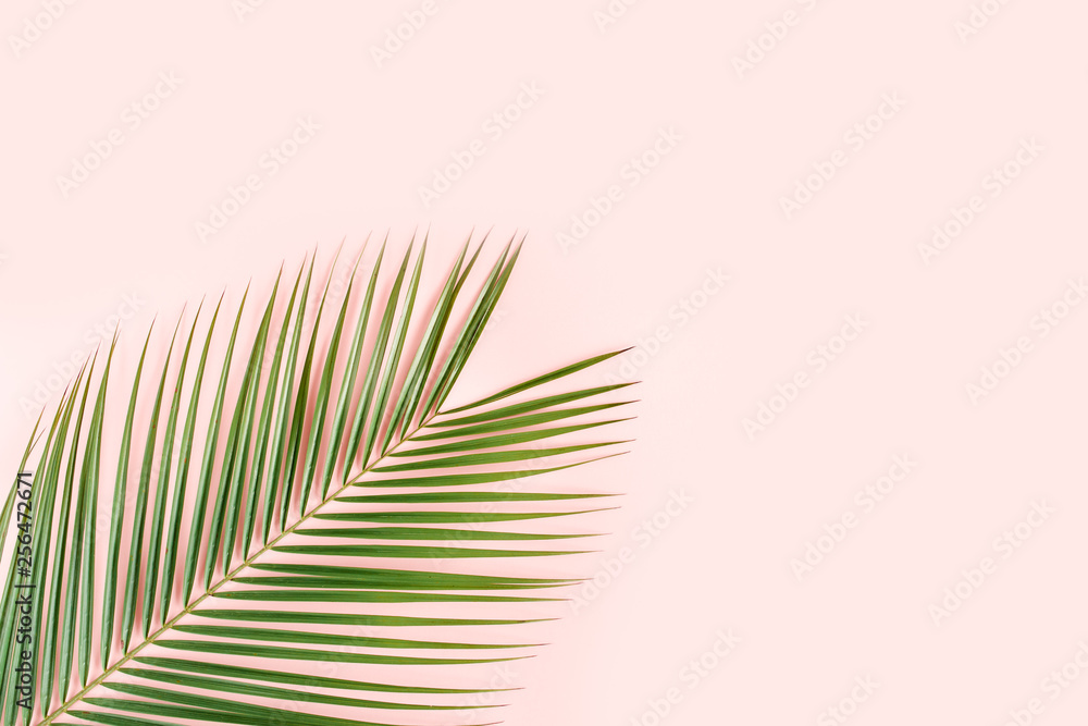 Fototapeta premium Tropical palm leaf on pink background. Flat lay, top view minimal concept.