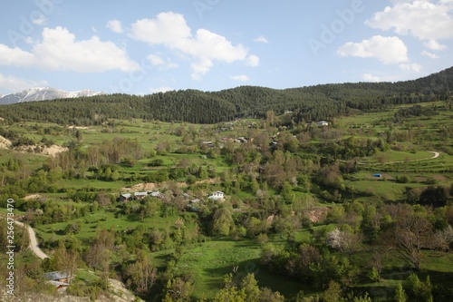 Green grain fields and blue sky with clouds.savsat/artvin/turkey