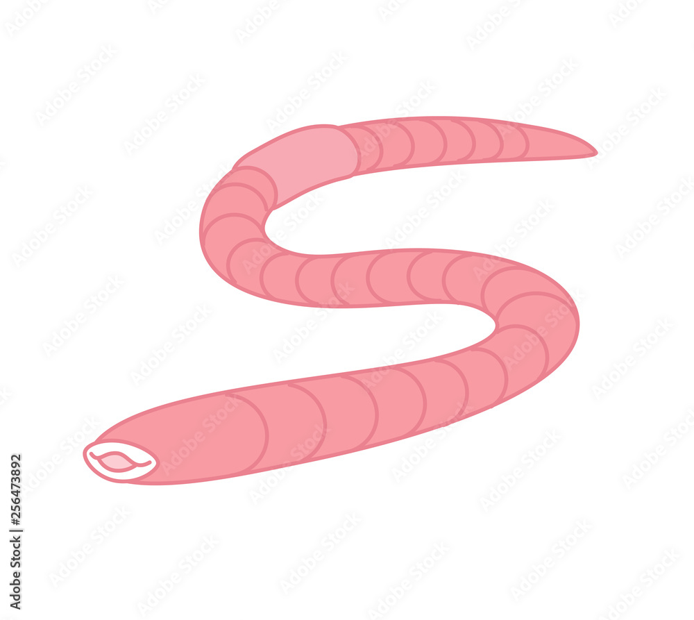ミミズの口 ミミズのキャラクター Earthworm Of Character Stock イラスト Adobe Stock