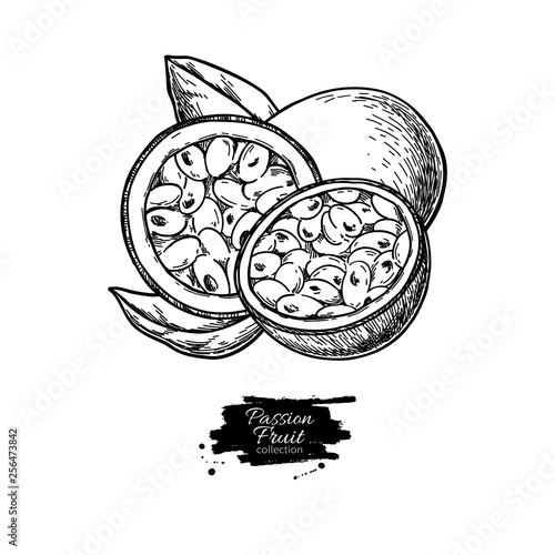 Passion fruit vector drawing. Hand drawn tropical food illustration. Engraved summer passionfruit.