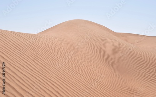 Sand dunes in Wahiba Sands desert Oman