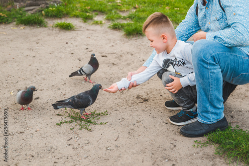 Canvas Print father with son feeding doves