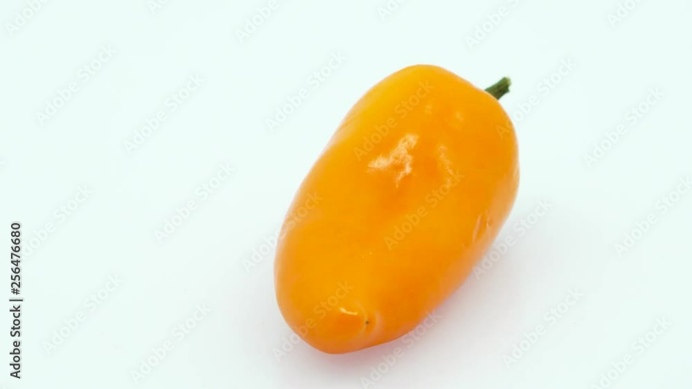 Orange Sweet Pepper Center Frame in 4k 3840 x 2160 Rotating Loop-able 360 Degree Rotation Orange Sweet Pepper Center Frame in 4k 3840 x 2160 Rotating Loop-able 360 Degree Rotation