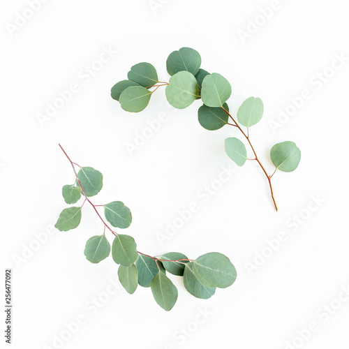 Wreath frame made of branches eucalyptus and leaves isolated on white background. lay flat, top view