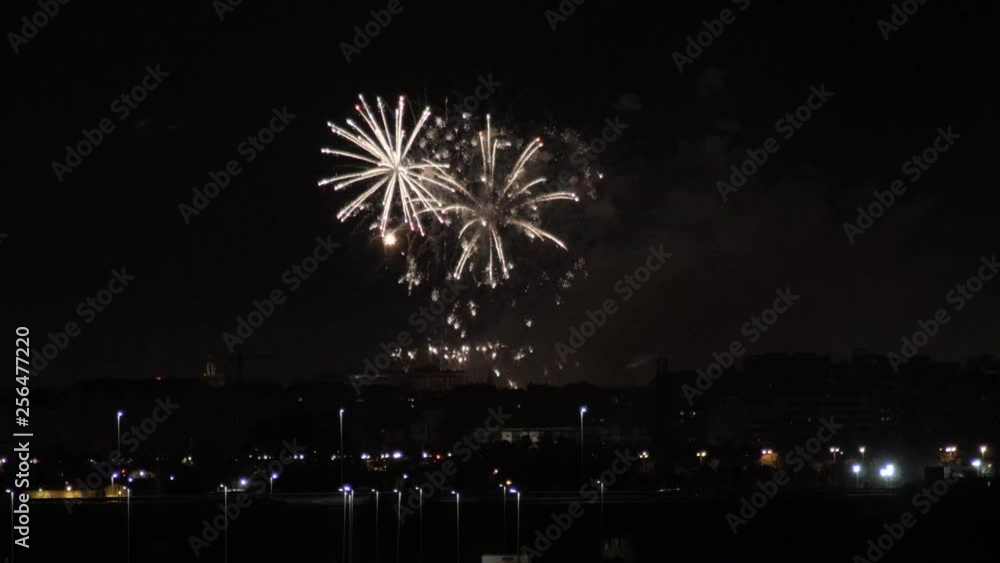 Dazzling fireworks are radiating the night skyline Dazzling fireworks are radiating the night skyline