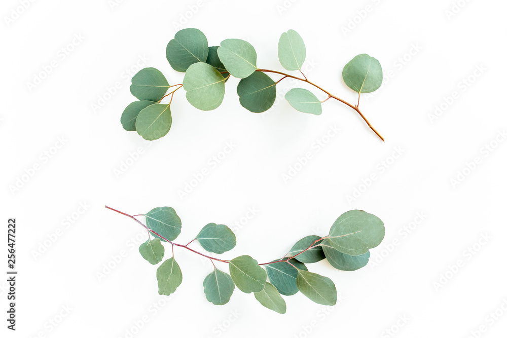Obraz premium Wreath frame made of branches eucalyptus and leaves isolated on white background. lay flat, top view