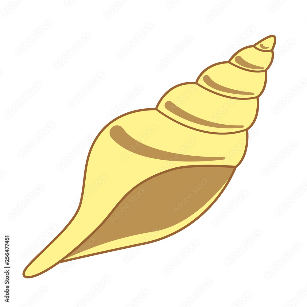 Shell flat illustration on white Shell flat illustration on white
