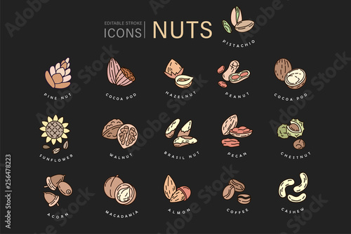 Vector icon and logo for nuts and seeds. Editable outline stroke size. Line flat contour, thin and linear design. Simple icons. Concept illustration. Sign, symbol, element.