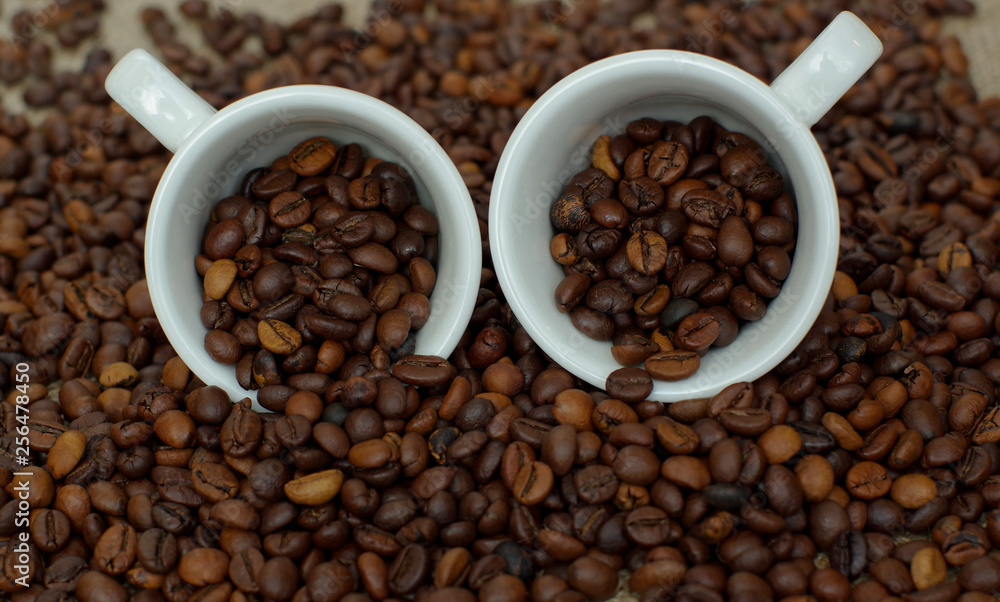 Fototapeta premium Coffee cup and coffee beans