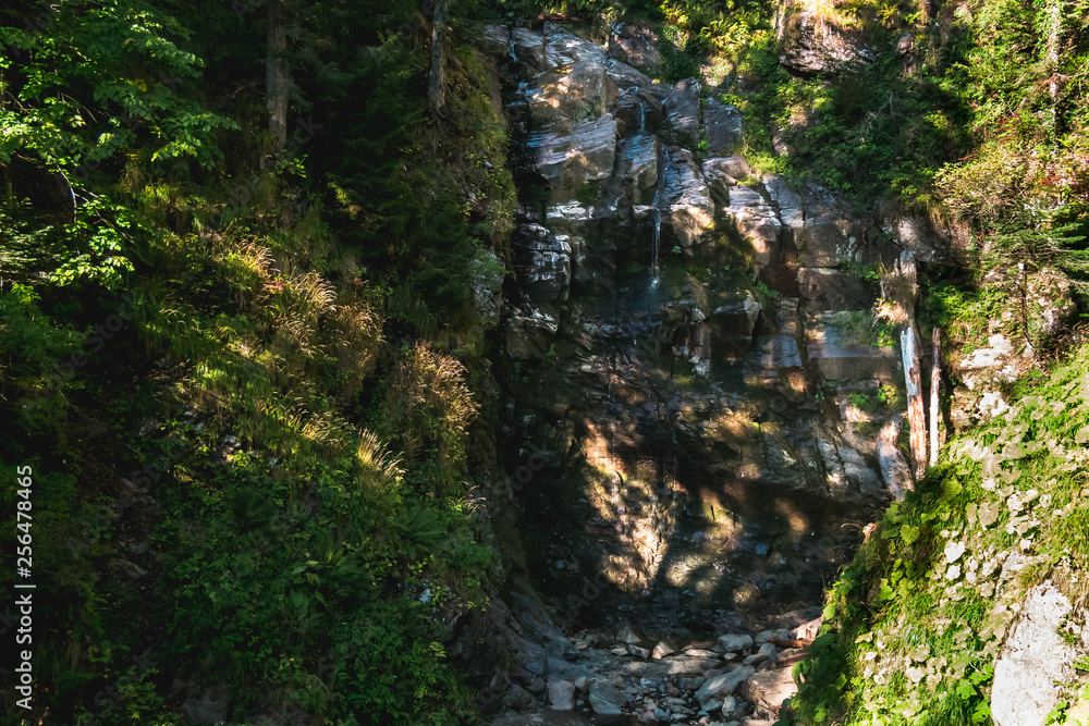 Obraz premium Forest stream going down high rocky waterfall located in between cliffs covered with summer green grass and trees in mountain forest