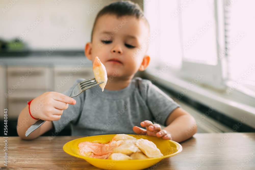 Hungry child eats Ukrainian dumplings in the kitchen, sitting on a chair in a gray t-shirt Hungry child eats Ukrainian dumplings in the kitchen, sitting on a chair in a gray t-shirt