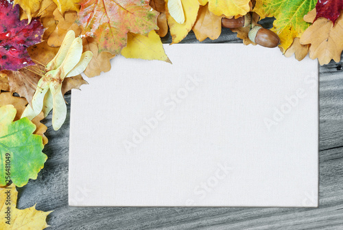 Frame of multicolored autum...