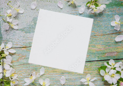 Spring frame of white flowe...