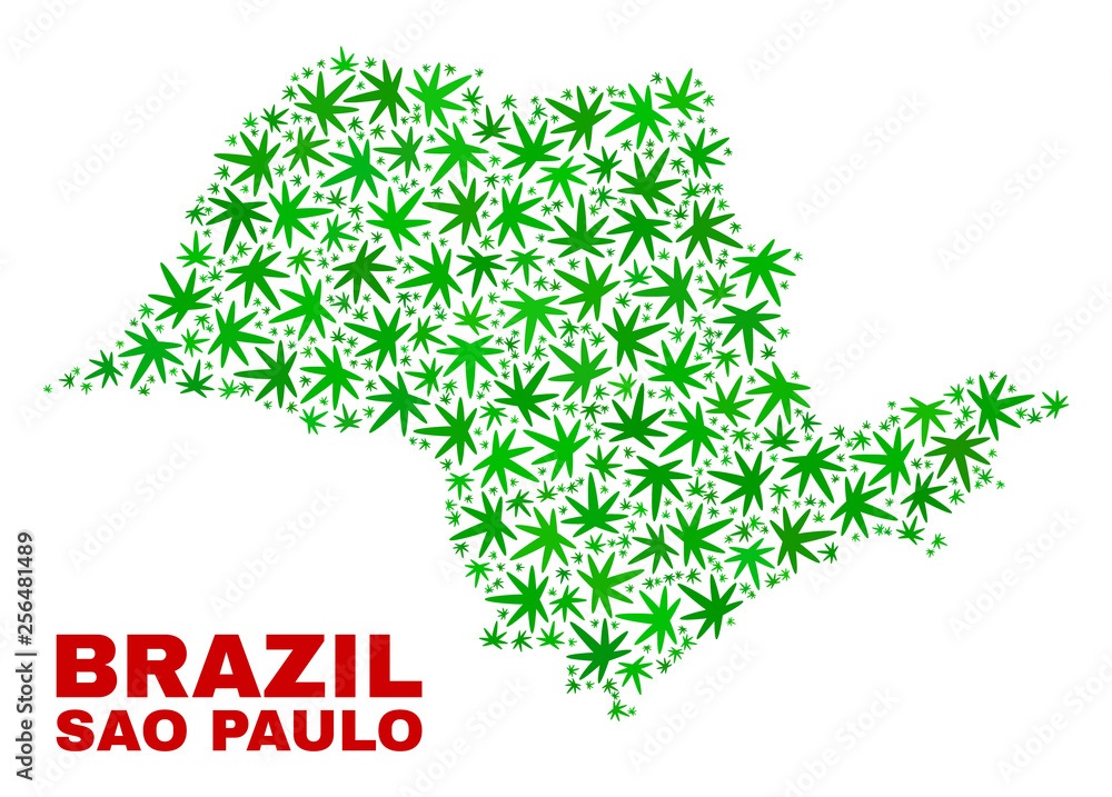 Vector cannabis Sao Paulo State map mosaic. Template with green weed leaves for weed legalize campaign. Vector Sao Paulo State map is organized with cannabis leaves. Vector cannabis Sao Paulo State map mosaic. Template with green weed leaves for weed legalize campaign. Vector Sao Paulo State map is organized with cannabis leaves.