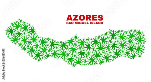 Vector cannabis Sao Miguel Island map collage. Concept with green weed leaves for cannabis legalize campaign. Vector Sao Miguel Island map is constructed with cannabis leaves.