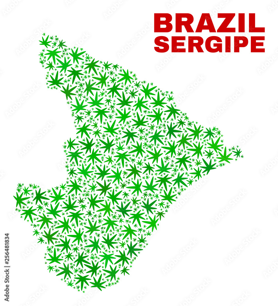 Vector cannabis Sergipe State map mosaic. Concept with green weed leaves for weed legalize campaign. Vector Sergipe State map is constructed with cannabis leaves. Vector cannabis Sergipe State map mosaic. Concept with green weed leaves for weed legalize campaign. Vector Sergipe State map is constructed with cannabis leaves.