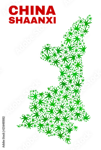 Vector marijuana Shaanxi Province map collage. Concept with green weed leaves for hemp legalize campaign. Vector Shaanxi Province map is composed with marijuana leaves.
