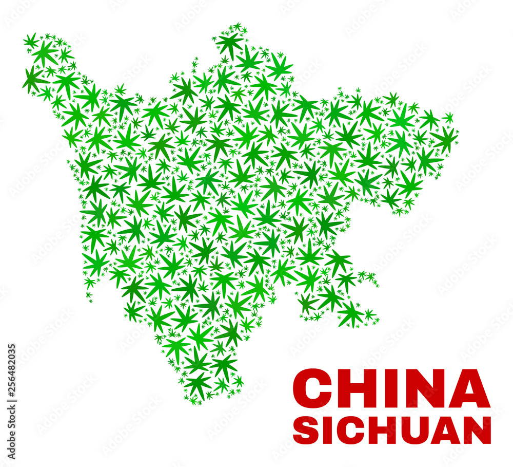 Vector marijuana Sichuan Province map mosaic. Concept with green weed leaves for marijuana legalize campaign. Vector Sichuan Province map is composed of weed leaves. Vector marijuana Sichuan Province map mosaic. Concept with green weed leaves for marijuana legalize campaign. Vector Sichuan Province map is composed of weed leaves.