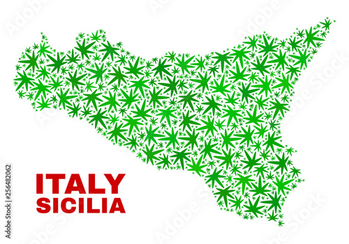 Vector cannabis Sicilia map collage. Template with green weed leaves for weed legalize campaign. Vector Sicilia map is formed with weed leaves.