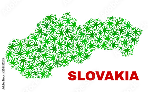 Vector cannabis Slovakia map collage. Template with green weed leaves for weed legalize campaign. Vector Slovakia map is created with weed leaves.