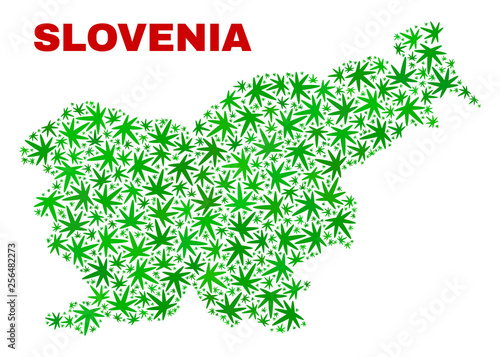 Vector marijuana Slovenia map mosaic. Template with green weed leaves for hemp legalize campaign. Vector Slovenia map is composed with weed leaves.