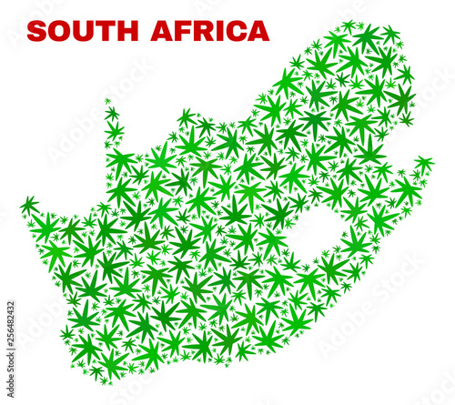Vector cannabis South African Republic map collage. Concept with green weed leaves for weed legalize campaign. Vector South African Republic map is organized with weed leaves.