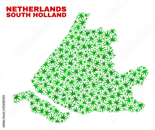 Vector cannabis South Holland map collage. Template with green weed leaves for cannabis legalize campaign. Vector South Holland map is created with marijuana leaves.