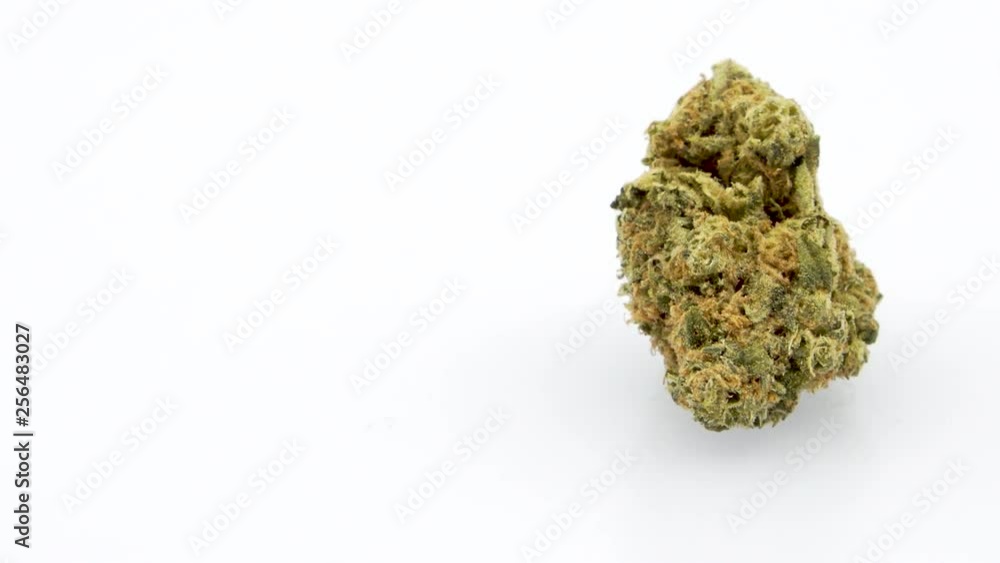360 Degree Looping Rotation of the Marijuana Strain - Kali Kandy, Single Bud Right Frame, in 4K Ultra HD Resolution 3840 x 2160 on White Background 360 Degree Looping Rotation of the Marijuana Strain - Kali Kandy, Single Bud Right Frame, in 4K Ultra HD Resolution 3840 x 2160 on White Background