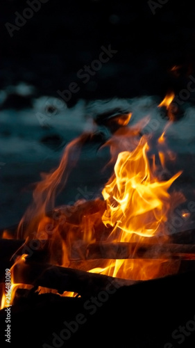 Flames burning wood in the night on blue