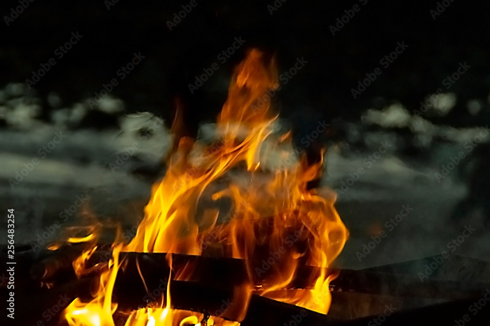 Obraz premium Flames burning wood in the night on green