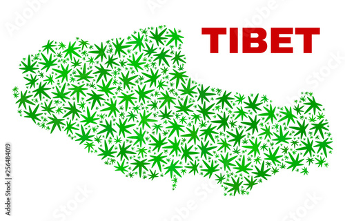 Vector cannabis Tibet map mosaic. Template with green weed leaves for cannabis legalize campaign. Vector Tibet map is organized of cannabis leaves.