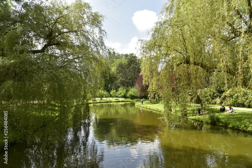 Les arbres à feuillage pendant jusque dans l'eau du chenal principal au domaine provincial de Vrijbroekpark à Malines