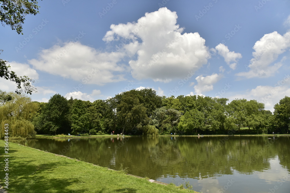 Fototapeta premium Cumulus de beau temps au dessus de bois se reflétant dans l'étang principal du domaine provincial de Vrijbroekpark à Malines