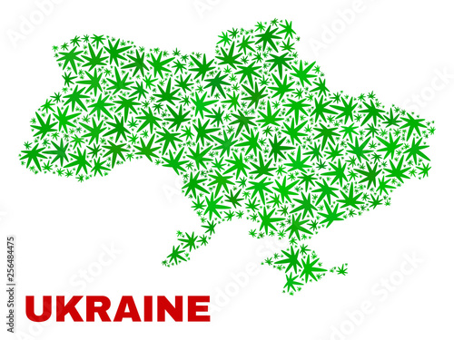 Vector marijuana Ukraine map collage. Concept with green weed leaves for marijuana legalize campaign. Vector Ukraine map is designed with marijuana leaves.