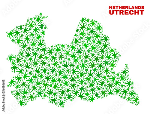 Vector cannabis Utrecht Province map mosaic. Concept with green weed leaves for cannabis legalize campaign. Vector Utrecht Province map is organized with cannabis leaves.